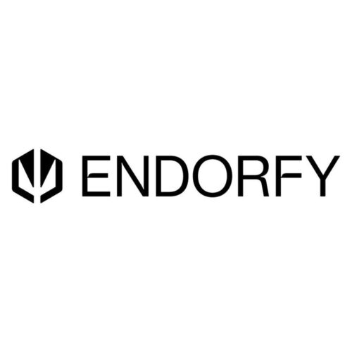 PSU Endorfy Vero L5 Bronze 600 W