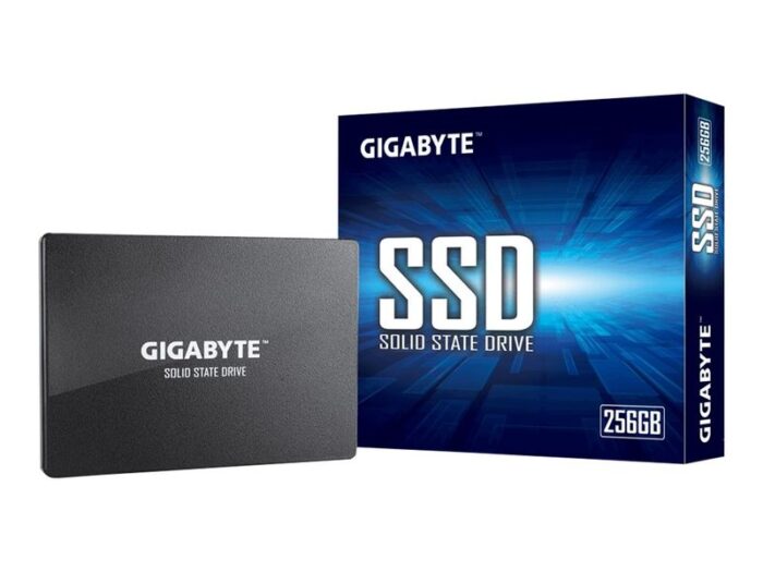 Gigabyte |  GP-GSTFS31256GTND - Afbeelding 3