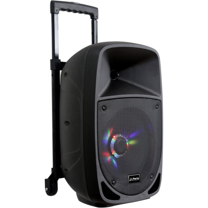 DRAAGBARE LUIDSPREKER 8''/20cm - 300W MET USB, BLUETOOTH, FM en MICRO - Afbeelding 4