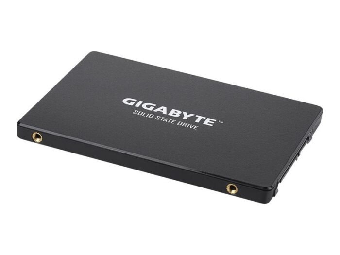 Gigabyte |  GP-GSTFS31256GTND - Afbeelding 2