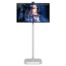 LC Power LCD monitor - 31.5"