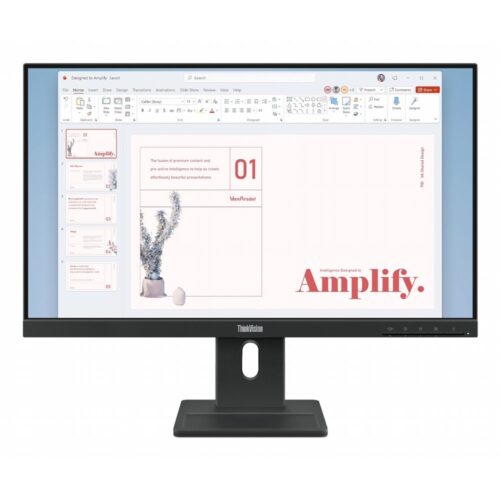 Lenovo ThinkVision E24-40 | 23,8" Full HD IPS | 100Hz | HDMI & DisplayPort | Monitor