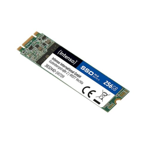 Intenso Top Performance | 256GB SATA SSD | M.2 | 520 MB/s Lezen | 400 MB/s Schrijven